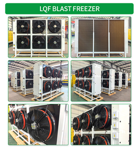 Contenedores de Congelación Rápida LQF de -40 a -60 Grados, Cámara Frigorífica, Congelador de Alimentos Congelados con Enfriamiento Rápido - Product Image 4