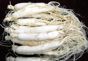 Healthway pasokan Mondia Whitei bubuk murni Natrual Mondia Whitei ekstrak akar bubuk - Product Image 2