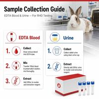 Kit de Prueba PCR de Ácido Nucleico para la Enfermedad Hemorrágica del Conejo (RHD), Certificado CE Clase II, Preciso para Granjas y Hospitales Veterinarios, 1 Año de Duración