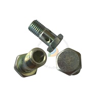 Pièces de moteur OEM ZCEC QSC8.3 QSL9 ISL8.9, vis de connexion banjo 3903035 4937761, boulon de retour de carburant, boulon de tuyau de retour de carburant