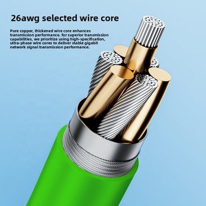 <span class=keywords><strong>สาย</strong></span>ต่อขยายเครือข่ายแลน Cat5e Cat6 RJ45 แบบตัวผู้ต่อตัวเมีย สำหรับติดตั้งบนแผงแบบสกรู 8P8C ทองแดงแบบตีเกลียว ขายส่งจากโรงงาน - Product Image 3