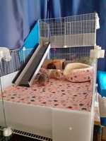 2*5 CC Luxury Foldable Classic Cotton Cage Liners with Plastic Tray Game Mate Liner for Piggy Bedspread Houses Box Packaging