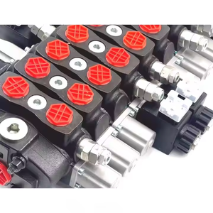 วาล์วควบคุมทิศทางไฮดรอลิกแบบแยกส่วน 8 ช่อง SD8 รุ่นแมนนวล |   โรงงานผู้ผลิตโดยตรง (OEM) - Product Image 6