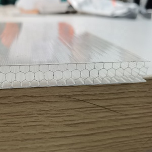 <span class=keywords><strong>PC</strong></span> vật liệu 8mm 12mm 16mm 18mm 20mm nhựa tổ ong lõi bánh sandwich Bảng điều khiển - Product Image 1