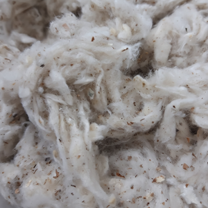 Venta al por mayor 100% algodón Lickerin tarjeta Fly tiras planas de Vietnam precio competitivo - Product Image 1