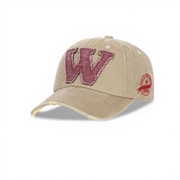Gorra de Béisbol de 6 Paneles con Letra W Bordada en PVC, Protección Solar Deportiva, Unisex para Adultos, Tejida, Ajustable, para las Cuatro Estaciones, Combinable con Todo