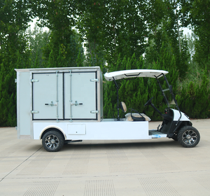 Shininglsv 중국 스테인레스 스틸 전기 골프 카트 가사 식품 공급 기타 목적을위한 버기 - Product Image 4