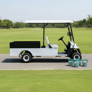 Voiturette de <span class=keywords><strong>golf</strong></span> électrique 2 places 48V/72V avec boîte de chargement, véhicule utilitaire agricole tout-terrain, certifiée DOT/EEC/GCC, haute qualité - Product Image 3