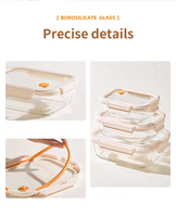 Lot de Contenants Alimentaires en Verre Borosilicate Haute Qualité Personnalisables, Résistants au Micro-ondes, Hermétiques et Anti-Fuite, Idéaux pour Boîte à Bento
