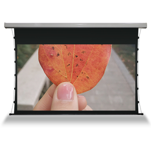 Écran de <span class=keywords><strong>projection</strong></span> <span class=keywords><strong>motorisé</strong></span> MIGO à tension de tissu électrique, écran de <span class=keywords><strong>projection</strong></span> <span class=keywords><strong>motorisé</strong></span> à enroulement au <span class=keywords><strong>plafond</strong></span> ALR - Product Image 4