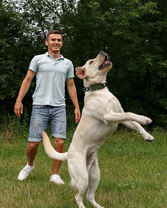 Collier de dressage de <span class=keywords><strong>chien</strong></span> à distance avec écran couleur Correcteur de comportement pour animaux de compagnie en plastique durable et en nylon - Product Image 2