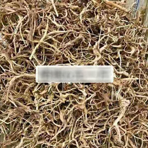 Commercio all'ingrosso di colore giallo di qualità habitat acquatici radice di canapa vite di corallo in legno di sesso opposto lavello in legno - Product Image 1