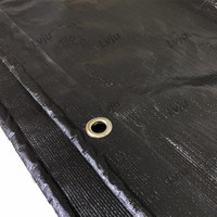 Bâche imperméable en plastique pour bois de construction Lvju Tirpal, toile plastique pour plateau, tissu anti-ouragan