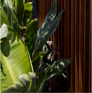 Fabbrica <span class=keywords><strong>di</strong></span> schermatura in bambù, <span class=keywords><strong>doghe</strong></span> in bambù con cornice in alluminio - Product Image 6