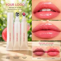 Gloss à lèvres hydratant et repulpant, longue tenue, waterproof, végétalien, infusé à l'huile, pour des lèvres douces et hydratées