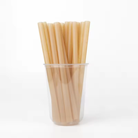 Paille à boire biodégradable en bagasse avec logo personnalisé Emballage unique jetable de qualité alimentaire en plastique biodégradable pour les repas en camping