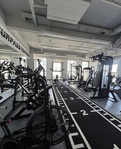 Máquina de press de banca <span class=keywords><strong>Hammer</strong></span> Flat, equipo de fitness comercial para entrenamiento de fuerza, máquina de press de banca para entrenamiento de <span class=keywords><strong>pecho</strong></span> - Product Image 4