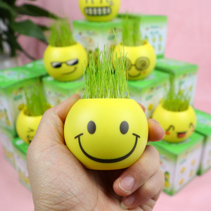 Mini Bonsái con Emojis, Planta en Maceta, Decoración Verde para Interiores, 4 Piezas, Plástico Redondo, Regalo para Sala de Estar, Cumpleaños - Product Image 3