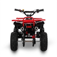 Quad mini tout-terrain Tao Motor CE 2 temps 50cc à transmission par chaîne automatique à essence pour enfants