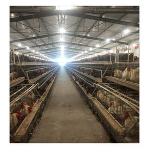 Gelişmiş 10k-50k tavuk run metal 4 katlı horoz kafes nijerya'da satılan - Product Image 2