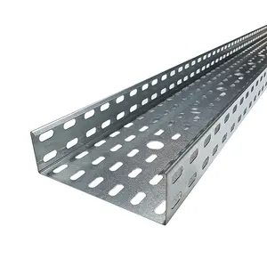 One-stop Service Different Size Metal Trunking Stainless Steel Perforated Cable Trays With Cover