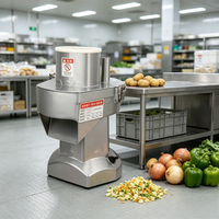 Coupe-légumes électrique, trancheuse, hachoir, râpe - Tension universelle 100-240V 200W, robot culinaire commercial