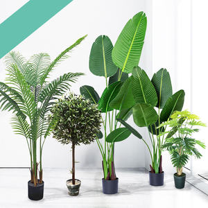 Dypsis-bonsái Artificial para decoración del <span class=keywords><strong>interior</strong></span>, J-255, venta al por mayor - Product Image 1