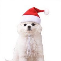 Ensemble de vêtements de Noël classiques et écologiques pour chats et chiens, ajustables, pour accessoires photo, avec collier à nœud papillon rouge et mini-casquette de Père Noël