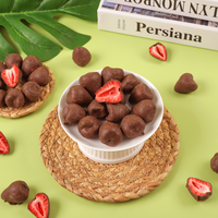Gedroogde FD-geprocesseerde zoete aardbeien met chocoladecoating, bulklevering