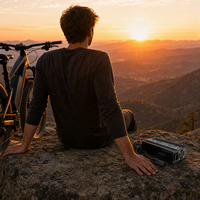 Chargeur de batterie au lithium de haute qualité 360W pour voiturette de golf électrique/moto électrique/vélo électrique/robot