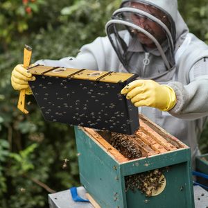Professional 6.5L Plastic Bee Feeder <b>Deep</b> <b>Frame</b> Water & Food Source New Condition Beekeeping Tool for Bee Farms - Product Image 2