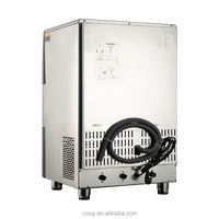 Machine à glace granulée en vrac 100 kg/jour avec certification CE, RoHS et logo OEM pour importateurs et acheteurs professionnels à l'étranger