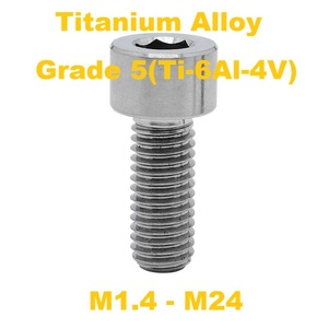ग्रेड 5 टाइटेनियम मिश्र धातु Ti-6Al-4V दीन <span class=keywords><strong>912</strong></span> मीट्रिक हेक्स सॉकेट सिलेंडर हेड बोल्ट और स्क्रू m1.4 m2 m2 m2 m3 m4 m5 m6 m8 m10 m6 m8 m10 m8 m10 m6 m8 m10 - Product Image 1