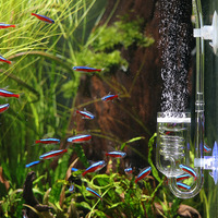 JR Aquarium DIY CO2 Diffuseur Verre Réservoir Bulle Réacteur Solénoïde Régulateur Mousse CO2 Atomiseur pour Fish Tank Plantes Vivantes