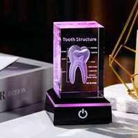 Cubo de Cristal Tallado con Diseño de Anatomía Dental, Regalos para Dentistas, Adornos Navideños de Escritorio, Productos Multiusos para la Higiene Bucal
