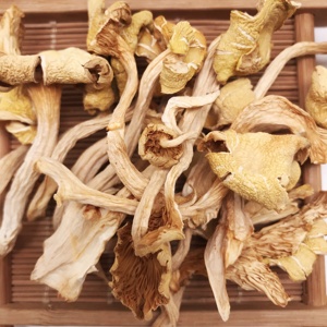 12021 Ji You Jun Cogumelos Amarelos Desidratados Naturais de Alta Qualidade Cantharellus Cibarius Secas Chanterelle Processamento Cru AD - Product Image 1