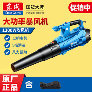 Souffleur électrique portatif Dongcheng 1200W 220V de qualité professionnelle pour le nettoyage des poussières sur les chantiers de construction - Product Image 3