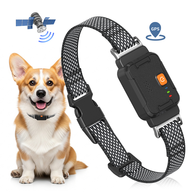 Tize New Arrival Pet Anti-lost GPS Activity Monitor Tracker Device 4G Smart Real Time Location Tracking Dog Collar