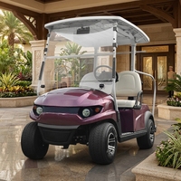 Voiturette de golf électrique sans entretien pour hôtel, 2 places avec porte-bagages, pour navette aéroportuaire, batterie lithium, autonomie 100 km