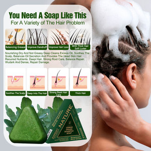 Champú Natural Sin Silicona Hecho a Mano con Hoja de Platycladus, Polygonum Multiflorum, Hierba Usman y Rosa, Set de Cuidado Capilar para Hombre - Product Image 1