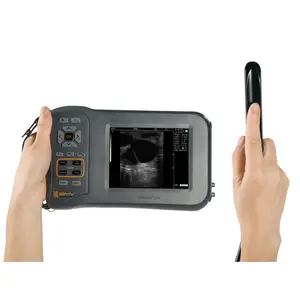 저렴한 가격 Farmscan L60 소 진단 임신 기계 선형 직장 변환기 휴대용 초음파