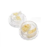 Presse-ail manuel multifonction pour gingembre, herbes et noix – Accessoire de cuisine indispensable – Offre spéciale
