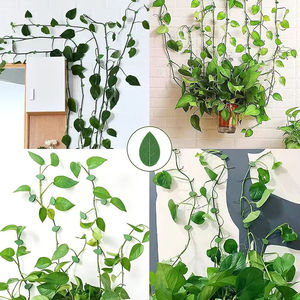 Clips de <span class=keywords><strong>fixation</strong></span> murale pour plantes grimpantes Crochet auto-adhésif Vignes Traction Support invisible Fil de support <span class=keywords><strong>Fixation</strong></span> Clips de feuilles vertes - Product Image 4