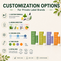 Inhaler Hidung Aromaterapi Botani Label Pribadi Formula Minyak Esensial Murni dengan Jeruk Produsen OEM Kustom