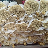 Bunga Baby's-Breath Putih Gading Kustom Grosir Bunga Awet Buket Bunga Kering Besar Diskon Besar Langsung dari Pabrik Yunnan