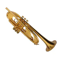 Kèn Trumpet Hạng Nặng XYTR885DG Chất Lượng Tốt