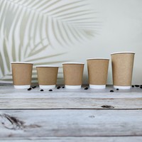 Vaso de Café Desechable de Doble Pared Biodegradable con Logotipo Personalizado, Recubrimiento de PE, Tapa para Llevar, Vaso de Papel para Té con Leche