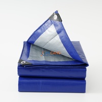 Bâche de toiture légère en polyéthylène imperméable, bâche PE bleue