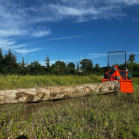 Treuil forestier à attelage trois points pour tracteur, avec écran de sécurité hydraulique, haute force de traction, équipement commercial