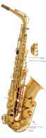 Ellman SAX Musical Instrument Professional Midrange Drop E Electrophoresis Gold Lien Large Guard Brass Saxophone High-grade
